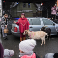 Jirčanský krampus, Staročeský advent