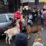 Jirčanský krampus, Staročeský advent