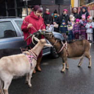 Jirčanský krampus, Staročeský advent