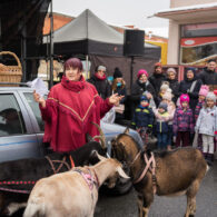 Jirčanský krampus, Staročeský advent