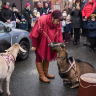 Jirčanský krampus, Staročeský advent