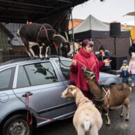 Jirčanský krampus, Staročeský advent