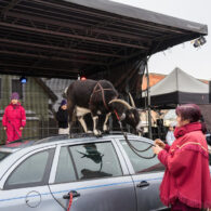 Jirčanský krampus, Staročeský advent