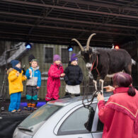 Jirčanský krampus, Staročeský advent