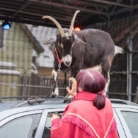 Jirčanský krampus, Staročeský advent