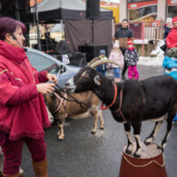 Jirčanský krampus, Staročeský advent