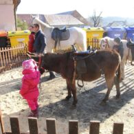 Staročeský advent 2016