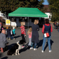 Dýňobraní, večerní bojovka