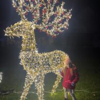 Slavnost světel 2025