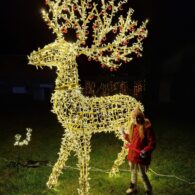 Slavnost světel 2025