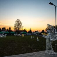 Slavnost světel 2025