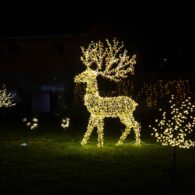 Slavnost světel 2025