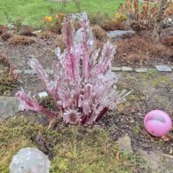 Výlet do sklárny Pačinek Glass a na zámek Zákupy