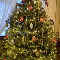 Výlet do sklárny Pačinek Glass a na zámek Zákupy