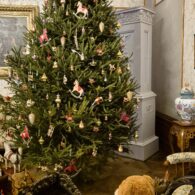 Výlet do sklárny Pačinek Glass a na zámek Zákupy