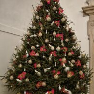 Výlet do sklárny Pačinek Glass a na zámek Zákupy