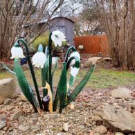 Výlet do sklárny Pačinek Glass a na zámek Zákupy