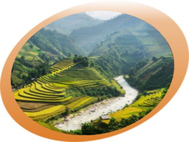 VU3V - Přejeme Vám krásné Vánoce