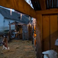 Betlémské světlo 2025