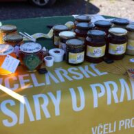 Svatováclavské posvícení